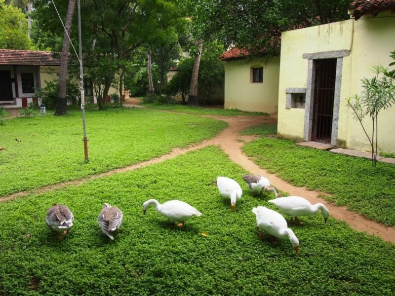 Indeco Hotels Swamimalai Кумбаконам Екстер'єр фото
